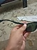 Ray-Ban  Ray Ban Gözlük