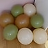 Balon Parti Malzemeleri (60'lı)