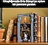 Lego  10367 Icons Yüzüklerin Efendisi Balrog Kitaplık Dekoru