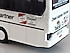 Setra S315HD Takım Otobüsü 1:87 Rietze | Projelik