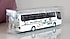 Setra S315HD Takım Otobüsü 1:87 Rietze | Projelik