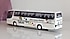 Setra S315HD Takım Otobüsü 1:87 Rietze | Projelik