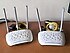 TP-Link  2Li TP Link Seti