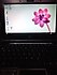 Asus  EEPC MİNİBOOK LAPTOP ATOM 1.60X2 ÇEKİRDEK İŞLEMCİ 2 GB RAM 160 GB HDD W.10 PİL 2.5 SAAT 2750 TL.227