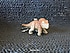 JURASSIC PARK - TRICERATOPS - TARİH ÖNCESİ OBJE - ANAHTARLIK.