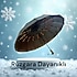 Rüzgara Dayanıklı Şemsiye