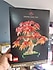 Lego  Botanicals Japon Kırmızı Akçaağaç Bonsai Ağacı 10348 - Yetişkinler için Dekoratif Yapım Seti, Bitki Severler İçin Y