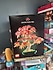 Lego  Botanicals Japon Kırmızı Akçaağaç Bonsai Ağacı 10348 - Yetişkinler için Dekoratif Yapım Seti, Bitki Severler İçin Y
