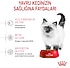 10 kg Royal Canin FHN Kitten 36 Yavru Kedi Kuru Maması