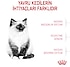 10 kg Royal Canin FHN Kitten 36 Yavru Kedi Kuru Maması