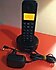 Philips  D130 Siyah Telsiz Telefon