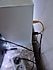Microsoft Xbox Series S