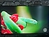 Dell  Alienware AW2724DM 27" 1 ms 2K Pivot IPS 180 Hz Oyuncu Monitörü