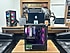 Segotep Axe 5 AMD Ryzen 5 5500 16GB 512GB SSD RTX5060 8GB Oyuncu Kasası