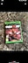 2K Games  NBA 2K20 xbox oyun diski