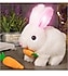 Oyuncak Tavşan ışıklı