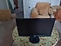 AOC  18.5 inç Monitör ( E970SWN )