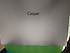 Casper  NIRVANA SILVER C350 14.1İNÇ EKRAN CELERON N4020 1.10X2 ÇİFT İŞLEMCİ 4GB RAM 120 GB SSD