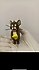 ( 3D ) Tom ve Jerry