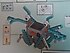 STEAM BUILDING BLOCKS TECHNİCAL MOTORİZED SET