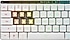 Asus  ROG Falchion RX Low Profile RGB %65 TKL RX Red Switch Kablolu/Kablosuz Mekanik Oyuncu Klavyesi