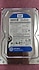 Western Digital  WD 500 GB HARDDİSK