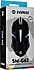 Everest  SM-G62 Aydınlatmalı Kablolu Oyuncu Mouse