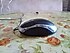 3D Optik Mini Mouse