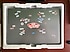 Casper  Notebook C.300 3060-4L05E