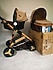 Baby Home  BH-945 Paris Travel Sistem Bebek Arabası
