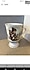 Jumbo  M.J.Hummel Tasarımı Sevimli Mug