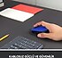 Logitech  M171 USB Alıcılı Kablosuz Kompakt Mouse - Mavi