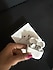 Apple  AirPods Pro 2. Nesil