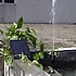 Anself Güneş Enerjili Su Pompası, 9V 2.5W Güç Paneli Pompası Peyzaj Havuz Bahçe Çeşmeleri