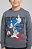 Sonic Desenli Erkek Çocuk Eşofman Takım