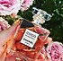 Chanel Coco Mademoiselle Bayan Parfümü Muadil  