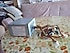 Arızalı Rexpo 450W PSU