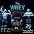 MUSCLE BALANCE Whey Isolate Kong Edition Çikolatalı 2100 Gr ( SIFIR ÜRÜN )