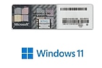 Windows 11 Professional Etiket Lisans FQC-10528