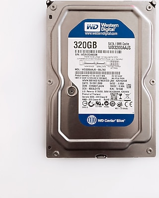 WD Blue WD3200AAJS 320GB 3.5" Harddisk (ARIZALI)