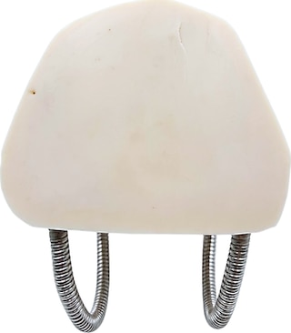 Temel Diş Fırçalama ve Bakım Modeli