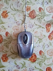 Frisby Mini Mouse ( FM - 880K )