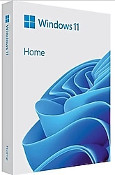 Windows 11 Home 64 Bit Kutulu İşletim Sistemi