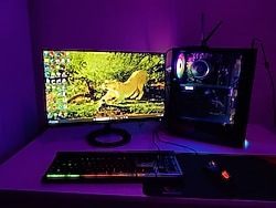 Arc A750 Gaming masaüstü + 165 Hz Asus monitör