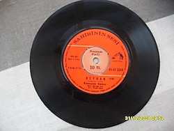 kâmuran akkor – reyhan – lâleler