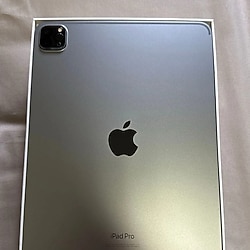 iPad Pro M2 4.Nesil 256GB - WiFi Cellular