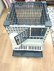 Leganest Bıldırcın,Keklik ve Güvercin Kafesi