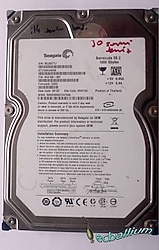 Seagate ST31000340NS 1 TB bad sektörlü hard disk