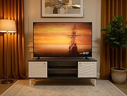 65" 4K TV Hi-Level 65UHL600