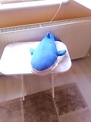 oyuncak peluş balina